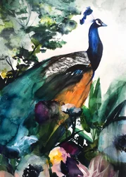 Vivace giardino dei pavoni