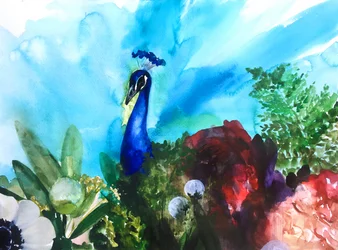 Vivace giardino dei pavoni