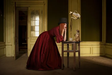 Tè "Elegant Woman Meerkat"
