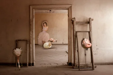 Il sogno del balletto dei fenicotteri