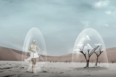 Fragile sogno del deserto