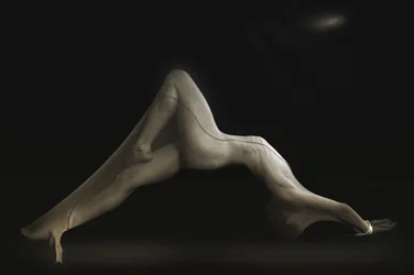 Una silhouette femminile e aggraziata