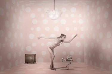 Ballerina fenicottero a pois rosa