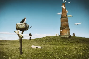 Libri "Puffin Flying"