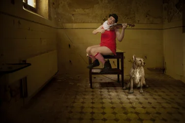 Serenata in una stanza stravagante
