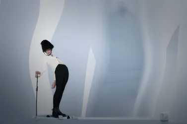 Posa da guardia elegante
