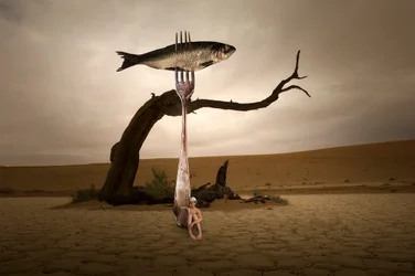 Pesci surreali del deserto