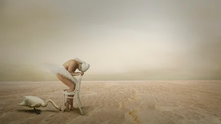 La solitaria ballerina del cigno