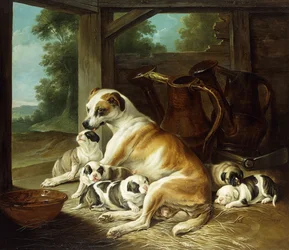 Una madre con i suoi cuccioli, 1734