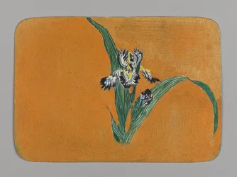 Piccola carta con iris, ca. 1880