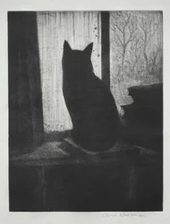 Il Gatto