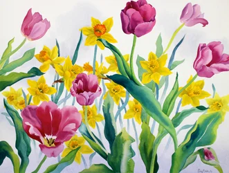 Narcisi e tulipani