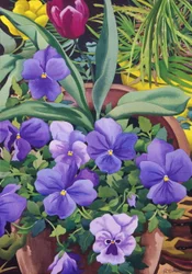 Vasi di fiori con viole del pensiero