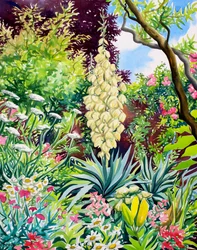 Giardino con yucca in fiore
