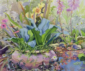 Giardino con piante