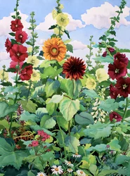 Malvarose e girasoli