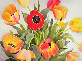 Tulipani arancioni e rossi