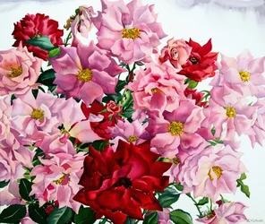 Rose rosse e rosa