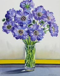 Scabiosa con banda gialla