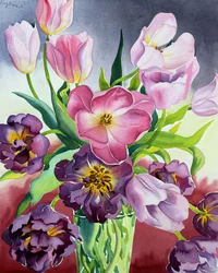 Tulipani