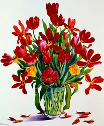 Tulipani
