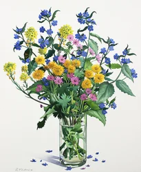 Fiori Selvatici con Alkanet, 2021