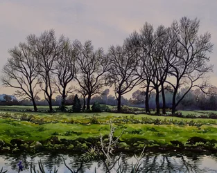 Alberi invernali