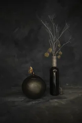 Farfalla e botaniche essiccate