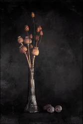 Natura morta botanica scura
