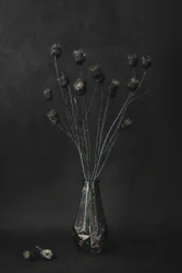 Natura morta botanica scura