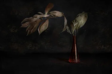 Natura morta botanica scura
