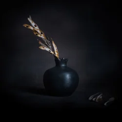 Natura morta botanica scura