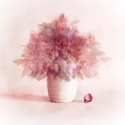 Sognanti fiori rosa