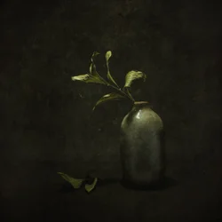 Natura morta botanica malinconica