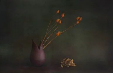Vaso botanico malinconico