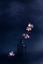 Vaso di fiori suggestivo
