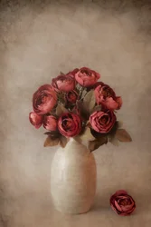 Fiori rossi suggestivi