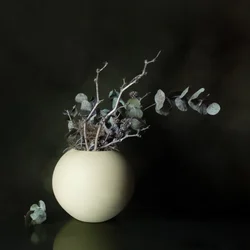 Vaso silenzioso con eucalipto