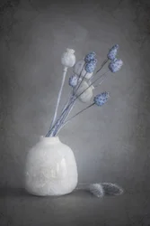 Fiori secchi sereni