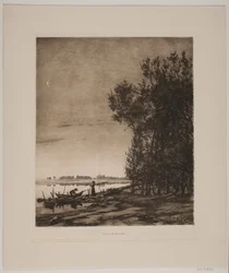 Alberi vicino a un lago