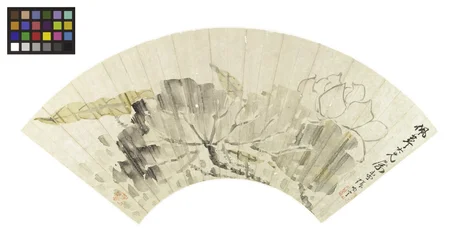 Fior di loto e foglie