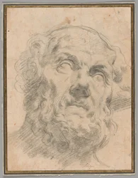 Testa di un vecchio, forse Seneca