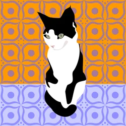 Gatto su piastrelle marocchine