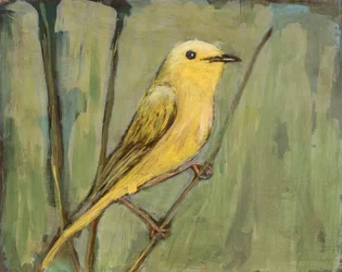 Uccello giallo brillante