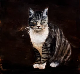 Elegante gatto tigrato