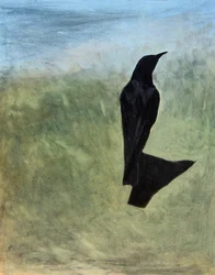 Sagoma di un uccello solitario