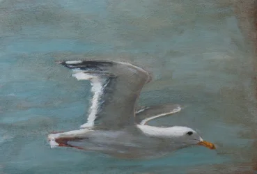 Il gabbiano in volo