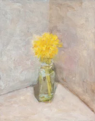 Morbidi fiori gialli