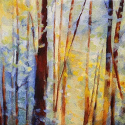 Luce della foresta incantata