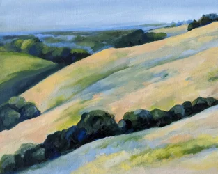 Colline dorate e ondulate